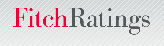 Fitch report