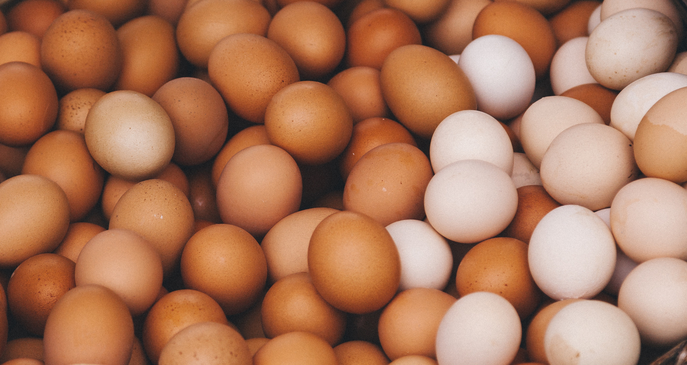 Salmonella Sickens 22 People, Causes Recall Of 206 Million Eggs ...