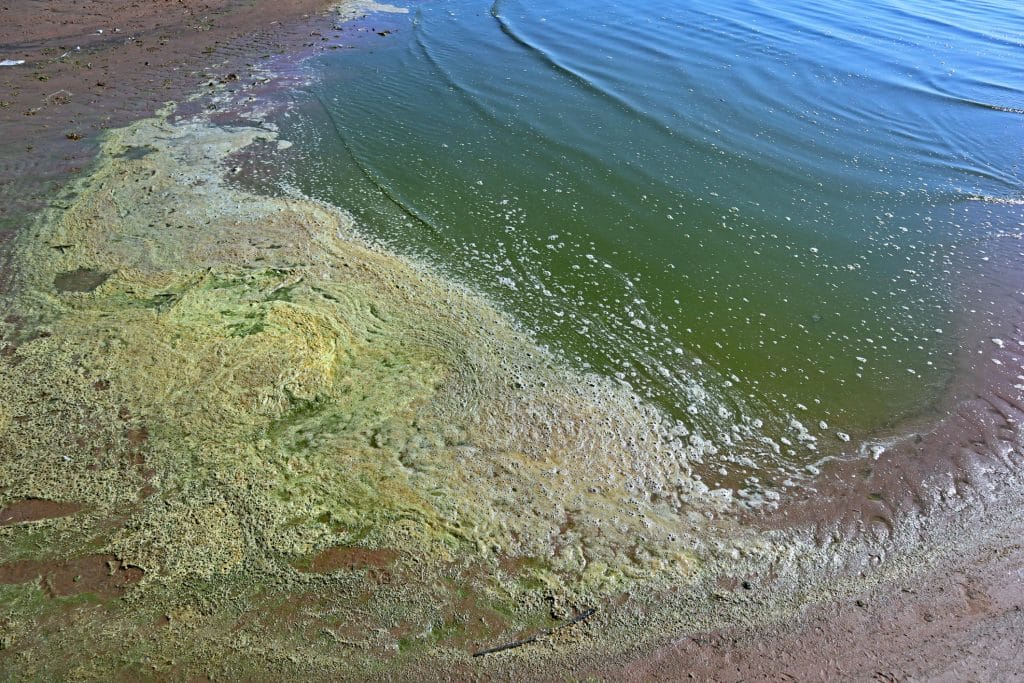 Toxic Chemicals from Rising Groundwater Threaten Coastal Communities ...