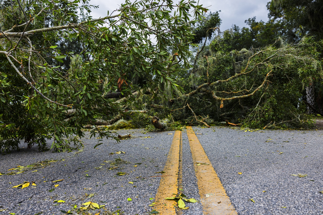 Severe Storms and Tornadoes Leave 42 Dead - ProgramBusiness | Where ...