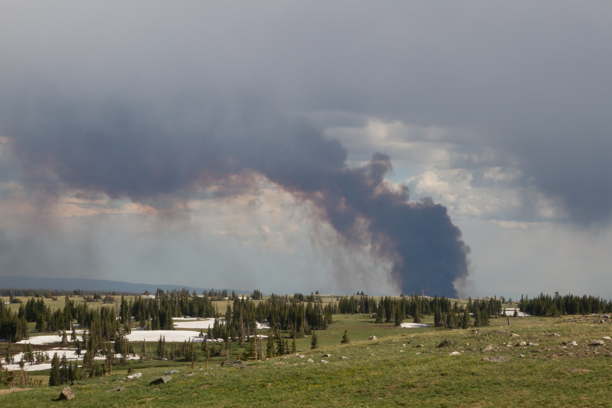 wildfire