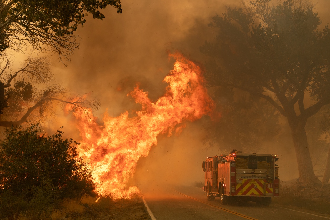 wildfire