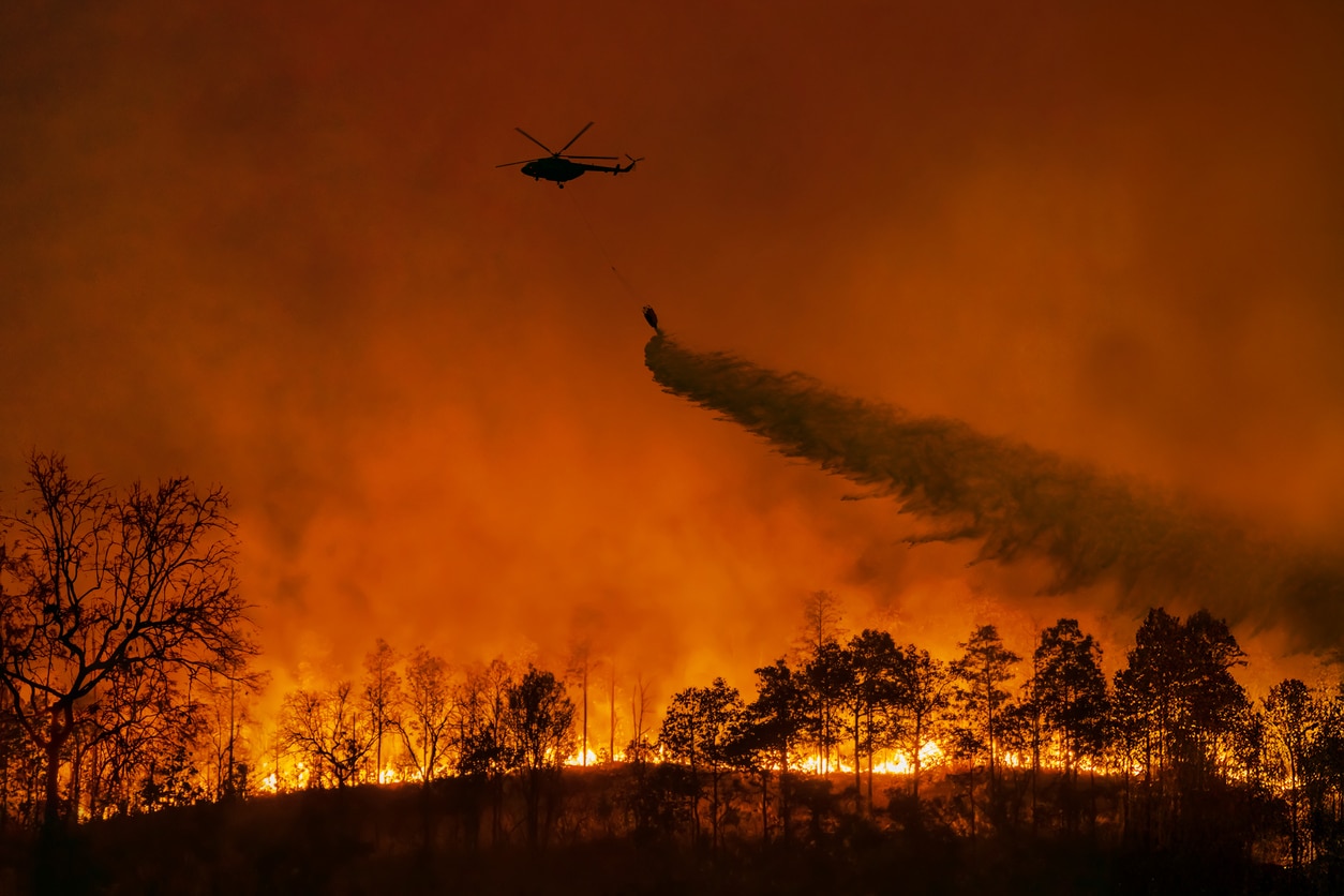wildfires