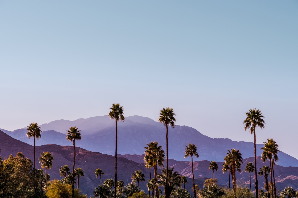 Understanding Terrorism Insurance: Lessons from the Palm Springs Fertility Clinic Bombing