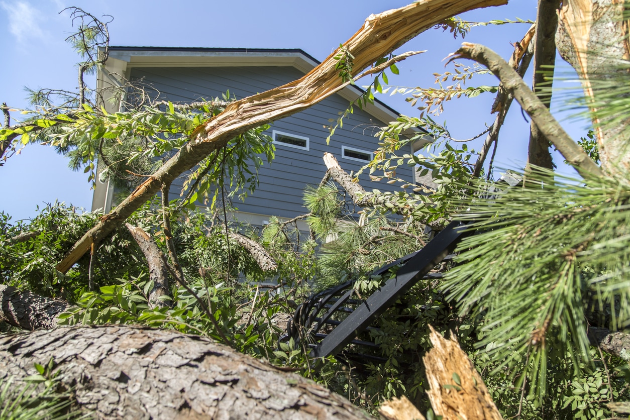 Alabama Study Highlights Benefits of Fortified Construction in Hurricane Zones