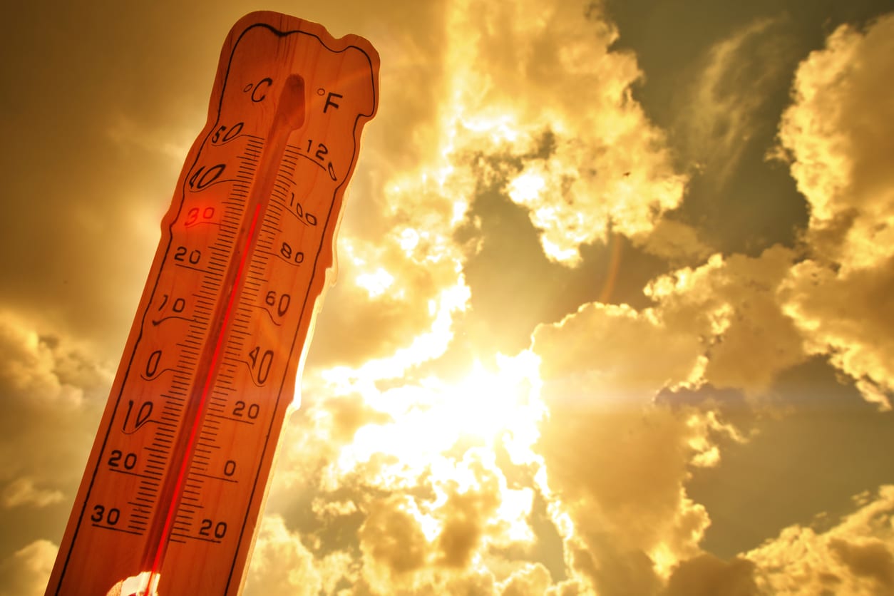 How Much Does a Heat Wave Cost? Tools Emerge to Track Financial Impact