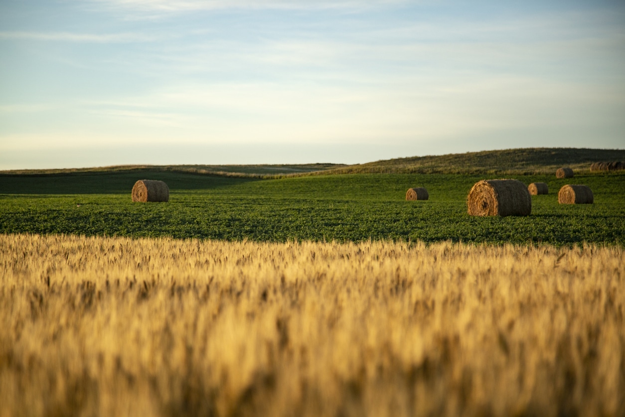Farmers Face Greater Risk With Planting Insurance Option Removed