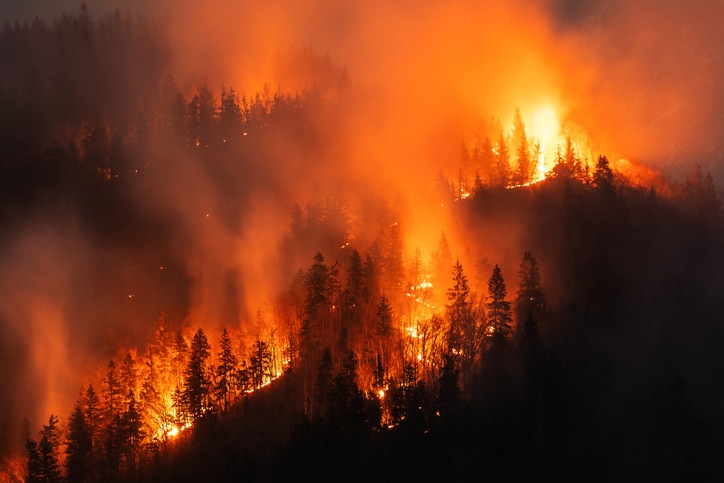 State Farm Shares Wildfire Safety Guidance With Policyholders