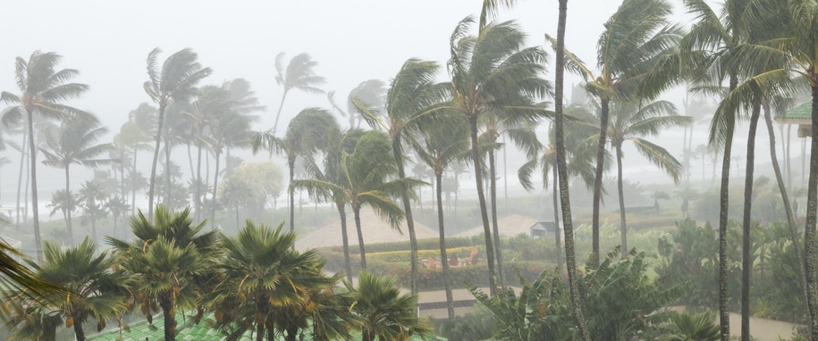 Hawaii Officials Encourage Prompt Insurance Claims After Severe Weather